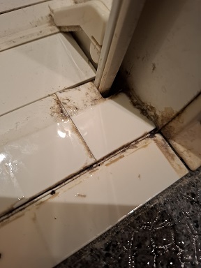 blog116-1