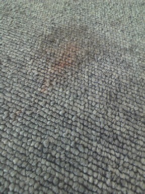 carpet-b3