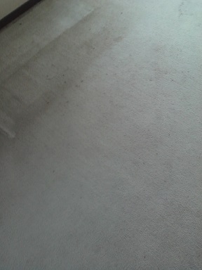 carpet-b1