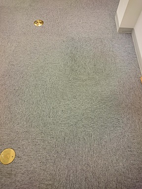 carpet-b2