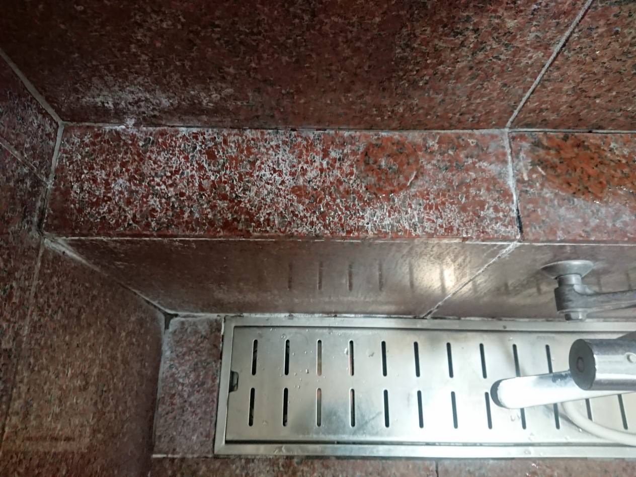 bathroyal-9