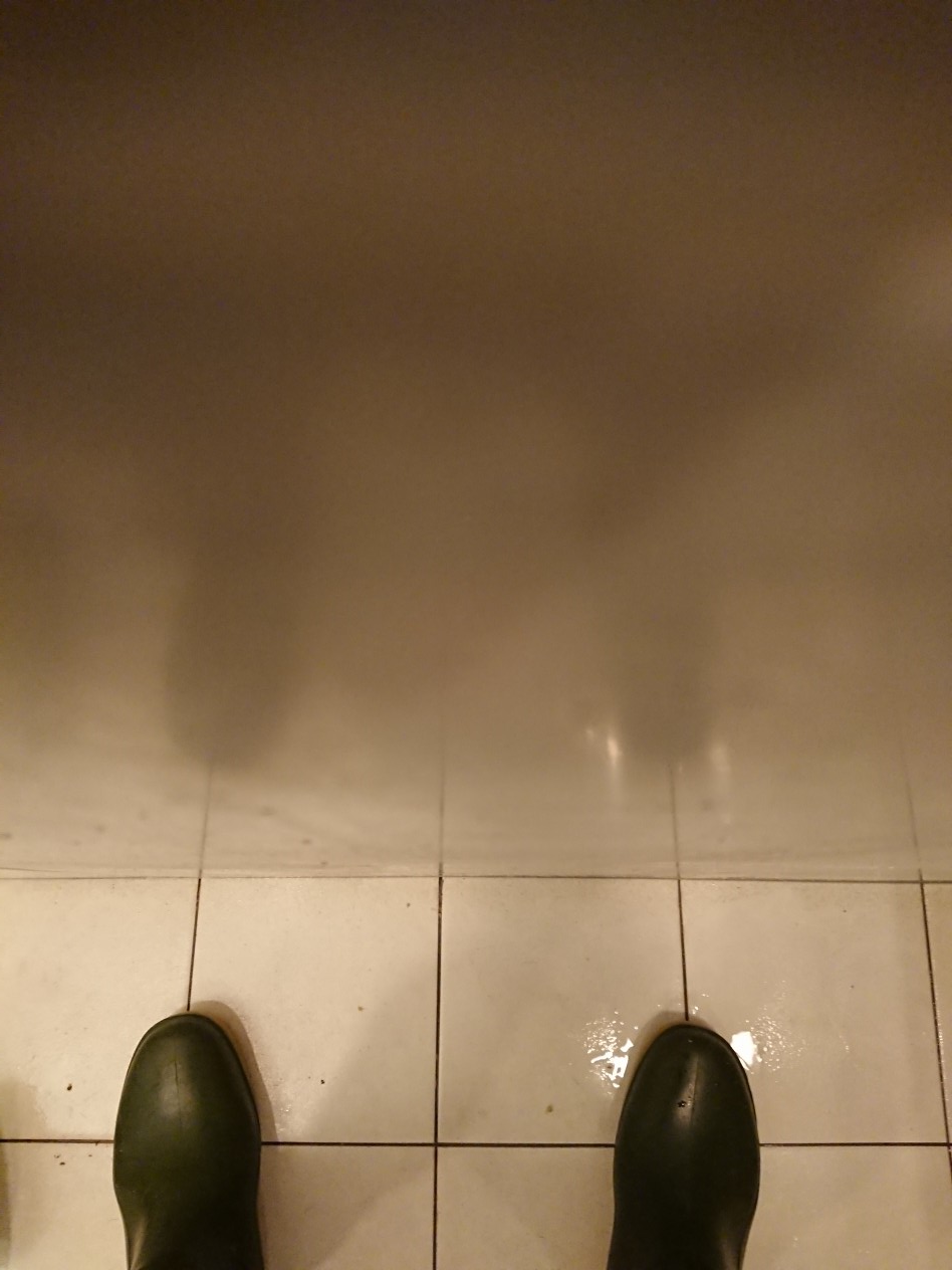 blog45-5