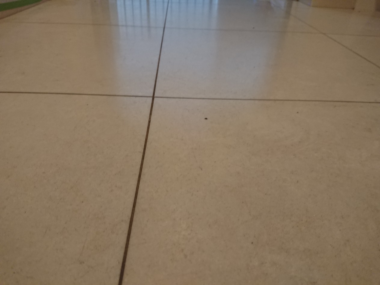 blog58-3