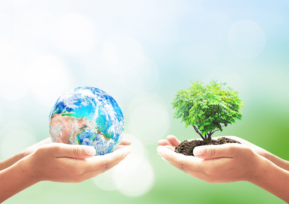 eco